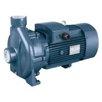 Моноблочный насос с резьбовыми патрубками Purity PCm 220B (N)