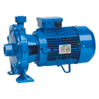 Поверхностный одноступенчатый консольно-моноблочный насос Speroni 2C 32/210C IE3