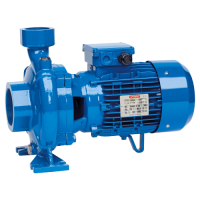Поверхностный одноступенчатый консольно-моноблочный насос Speroni CF 750 BR IE3