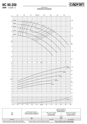 Одноступенчатые горизонтальные центробежные насосы Caprari NC 80-250 2900