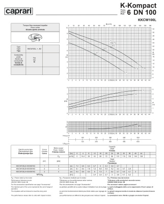 Сухая установка фекального насоса Caprari K-KOMPACT 6 DN 100 KKCW100L