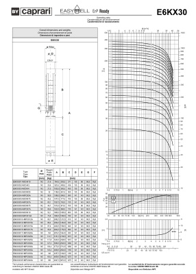 Скважинные насосы Caprari E6KX30 из нержавеющей стали