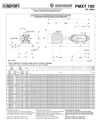 Горизонтальные секционные насосы высокого давления Caprari PMXT 100 2200 из нержавеющей стали