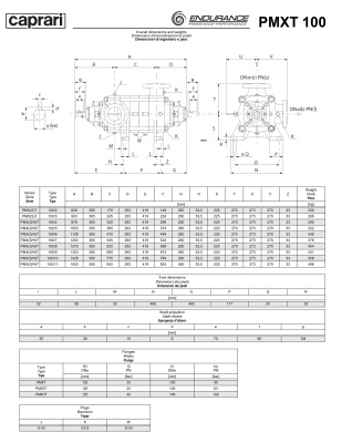 Горизонтальные секционные насосы высокого давления Caprari PMXT 100 1750 из нержавеющей стали