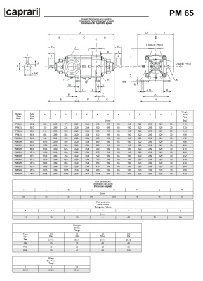 Горизонтальные многоступенчатые насосы высокого давления Caprari PM 65 2200