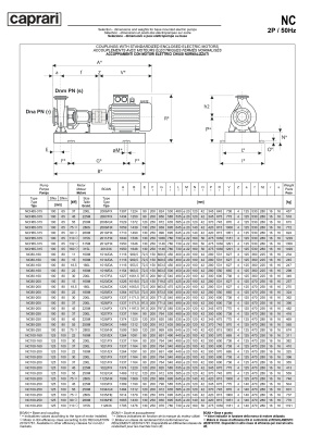 Одноступенчатые горизонтальные центробежные насосы Caprari NC 80-250 1450