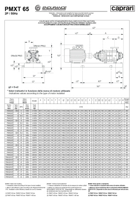 Горизонтальные секционные насосы высокого давления Caprari PMXT 65 3500 из нержавеющей стали