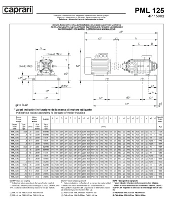 Горизонтальные многоступенчатые насосы высокого давления Caprari PML 125 2200