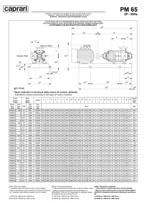 Горизонтальные многоступенчатые насосы высокого давления Caprari PM 65 1750