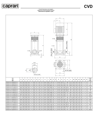 Вертикальные многоступенчатые насосы Caprari CVD 451 из нержавеющей стали