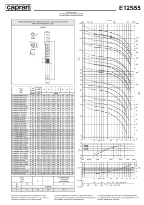 Скважинные насосы Caprari E12S55 из чугуна