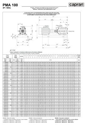 Горизонтальные многоступенчатые насосы высокого давления Caprari PMA 100 1450