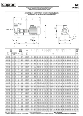 Одноступенчатые горизонтальные центробежные насосы Caprari NC 40-200 2900
