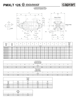 Горизонтальные секционные насосы высокого давления Caprari PMXLT 125 2900 из нержавеющей стали