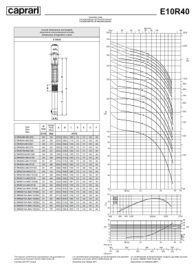 Скважинные насосы Caprari E10R40 из чугуна