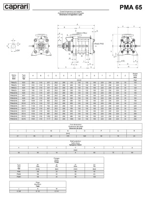 Горизонтальные многоступенчатые насосы высокого давления Caprari PMA 65 3500