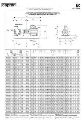 Одноступенчатые горизонтальные центробежные насосы Caprari NC 100-160 2900