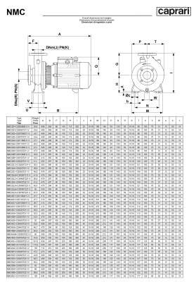 Поверхностные одноступенчатые консольно-моноблочные насосы Caprari NMC 40 2P
