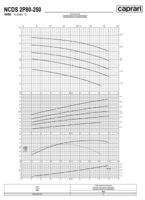 Одноступенчатые горизонтальные центробежные насосы Caprari NCDS 2P80-250 3450