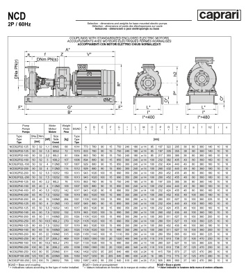 Одноступенчатые горизонтальные центробежные насосы Caprari NCDS 2P100-250 3450