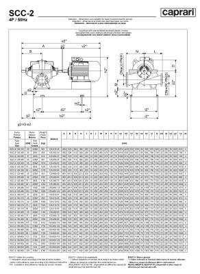 Горизонтальные насосы двустороннего входа Caprari SCC-2-125-350 1450