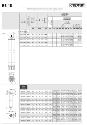 Двигатели для скважинных насосов Caprari MPC620/3A