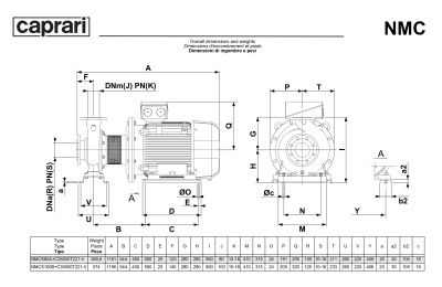 Поверхностные одноступенчатые консольно-моноблочные насосы Caprari NMC 80 2P