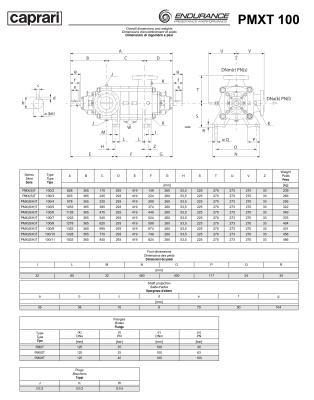 Горизонтальные секционные насосы высокого давления Caprari PMXT 100 2200 из нержавеющей стали