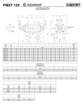 Горизонтальные секционные насосы высокого давления Caprari PMXT 125 1750 из нержавеющей стали