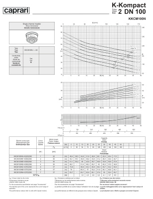 Сухая установка фекального насоса Caprari K-KOMPACT 2 DN 100 KKCM100N