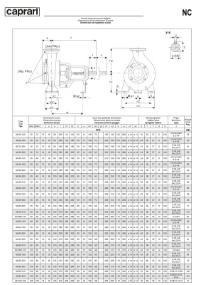 Одноступенчатые горизонтальные центробежные насосы Caprari NC 32-250 1450