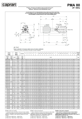 Горизонтальные многоступенчатые насосы высокого давления Caprari PMA 80 2900