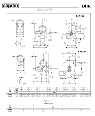 Горизонтальные одноступенчатые насосы Caprari BHR 200