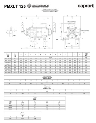 Горизонтальные секционные насосы высокого давления Caprari PMXLT 125 1450 из нержавеющей стали