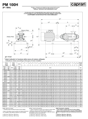 Горизонтальные многоступенчатые насосы высокого давления Caprari PM 100 2200