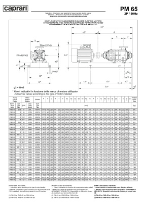 Горизонтальные многоступенчатые насосы высокого давления Caprari PM 65 2000