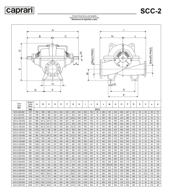 Горизонтальные насосы двустороннего входа Caprari SCC-2-250-450 1450