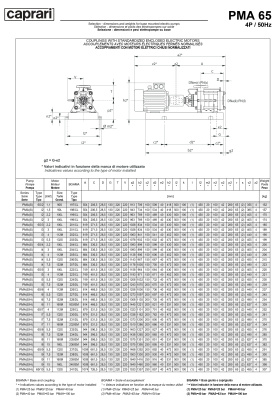 Горизонтальные многоступенчатые насосы высокого давления Caprari PMA 65 1450