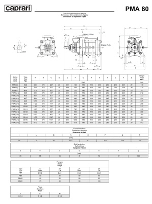 Горизонтальные многоступенчатые насосы высокого давления Caprari PMA 80 2900