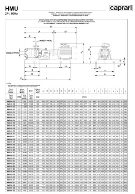 Горизонтальные секционные насосы высокого давления Caprari NMU 2650