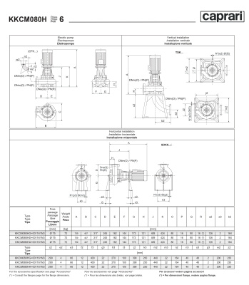 Сухая установка фекального насоса Caprari K-KOMPACT 6 DN 80 KKCM080H