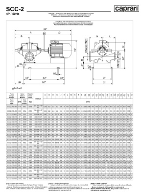 Горизонтальные насосы двустороннего входа Caprari SCC-2-300-500 1450