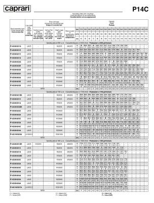 Вертикальные полупогружные насосы Caprari P14C