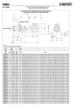 Горизонтальные секционные насосы высокого давления Caprari NMU 1750