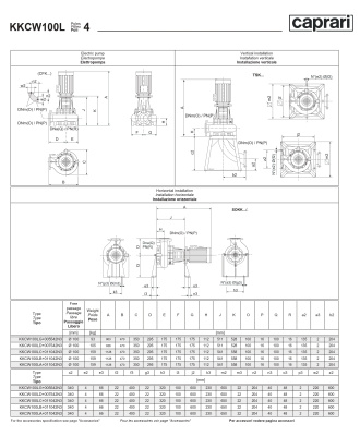Сухая установка фекального насоса Caprari K-KOMPACT 4 DN 100 KKCW100L