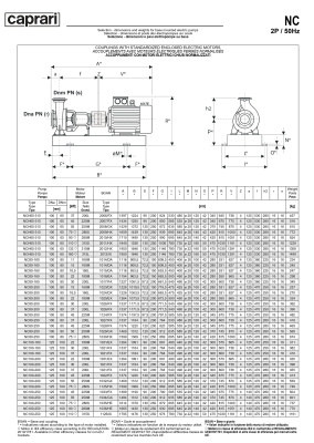 Одноступенчатые горизонтальные центробежные насосы Caprari NC 80-160 2900