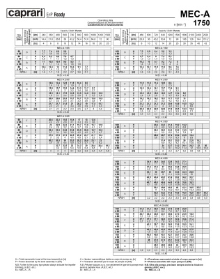 Горизонтальные одноступенчатые насосы Caprari MEC-A 1750