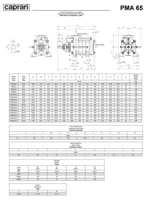 Горизонтальные многоступенчатые насосы высокого давления Caprari PMA 65 2900