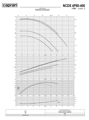 Одноступенчатые горизонтальные центробежные насосы Caprari NCDS 4P80-400 1750