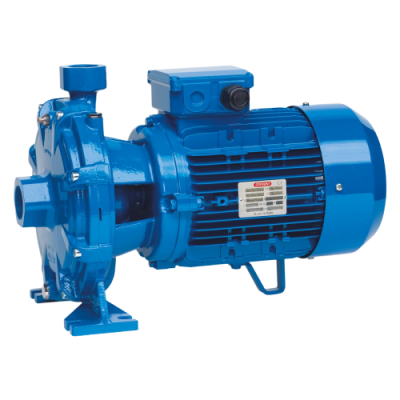 Поверхностный одноступенчатый консольно-моноблочный насос Speroni 2CM 32/190C